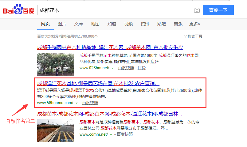 成都花木，成都苗木簡(jiǎn)單的指導(dǎo)直接上百度首頁(yè)