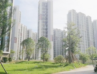 2019小產權房屋網案例