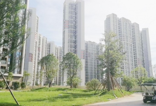 2019小產權房屋網案例