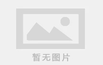 雜化樹脂